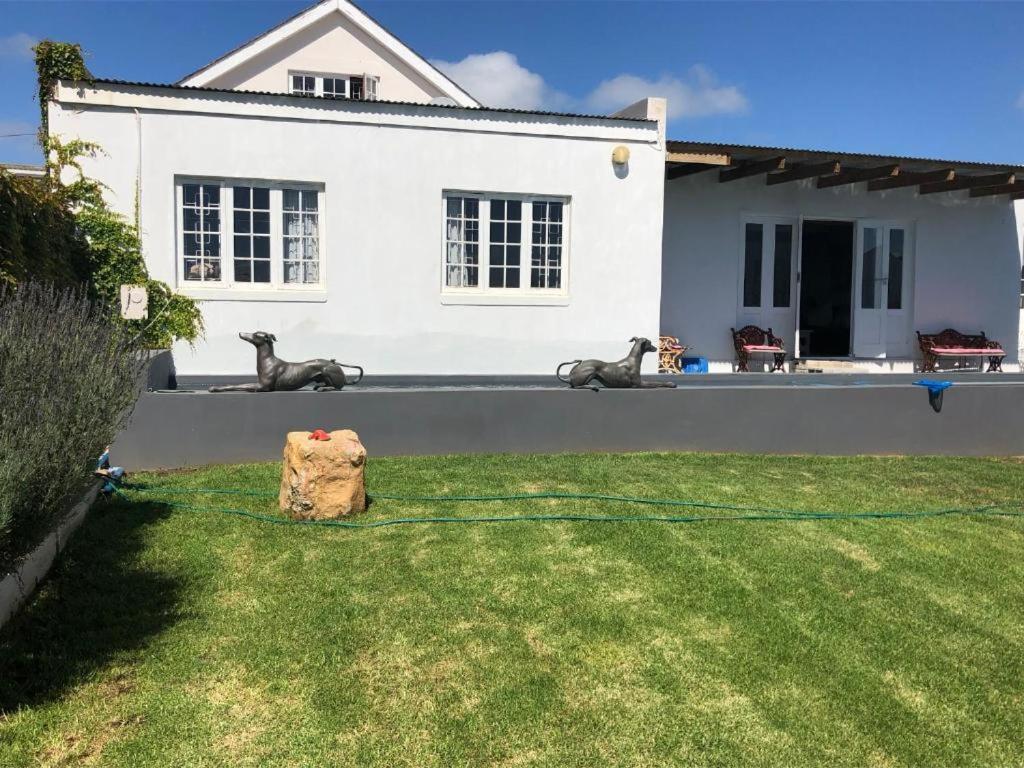 De La Fontaine Guest Cottage And Pool View Luxury Suite Plettenberg Bay Exterior photo